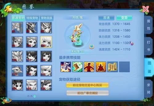 手游最新宠物爆料,手游新宠来袭,带你领略奇幻之旅 第1张 手游最新宠物爆料,手游新宠来袭,带你领略奇幻之旅 第1张